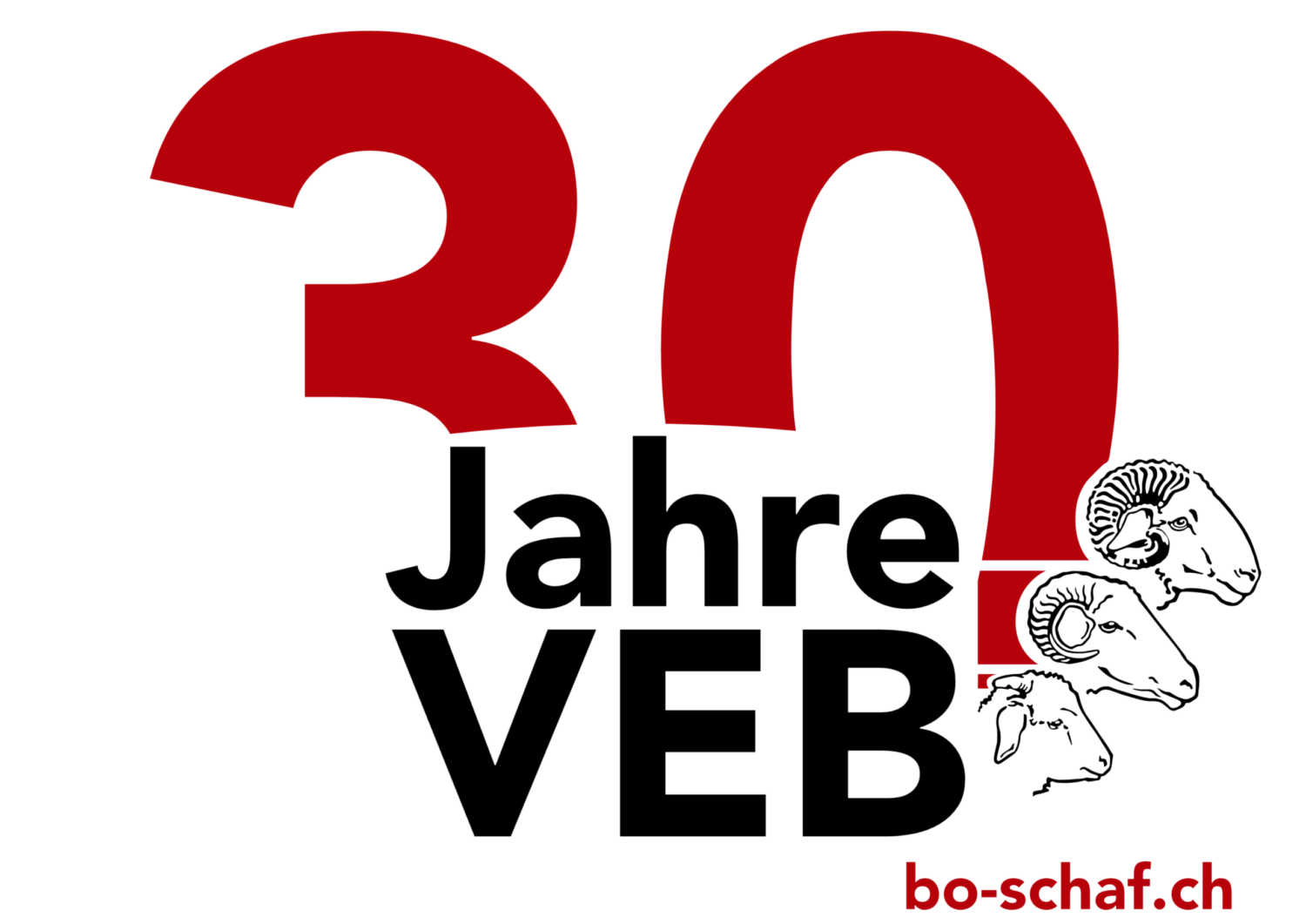 Bündner Oberländer Schaf